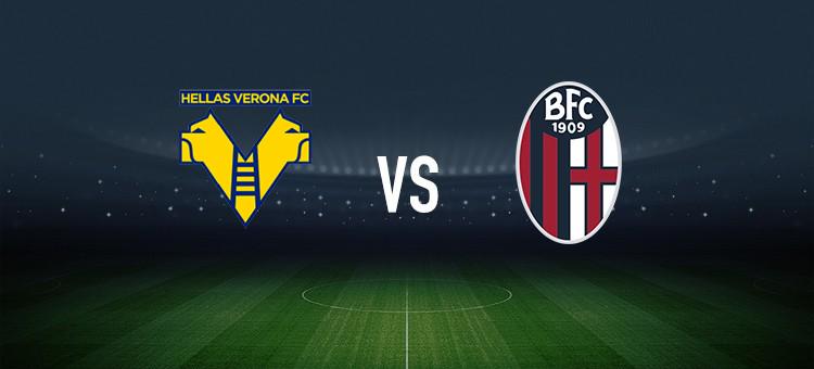 共同作用下 共同作用下