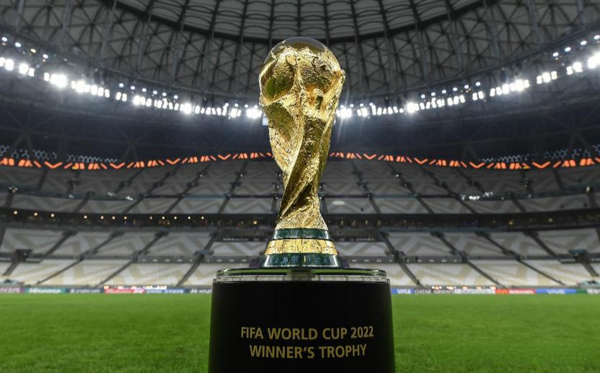 森林狼本场 森林狼本场