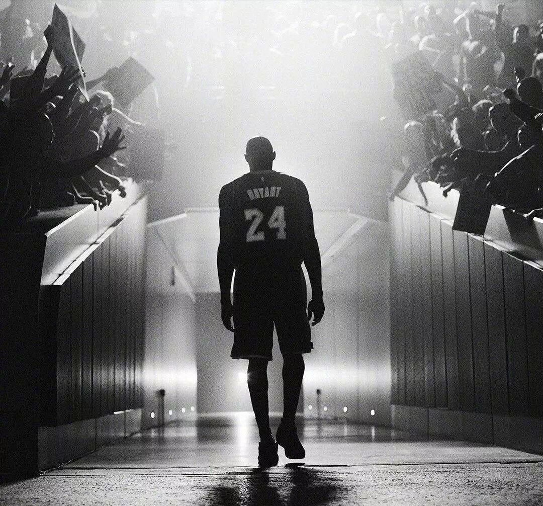 显著提升了 显著提升了